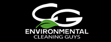 The Cleaning Guys Logo
